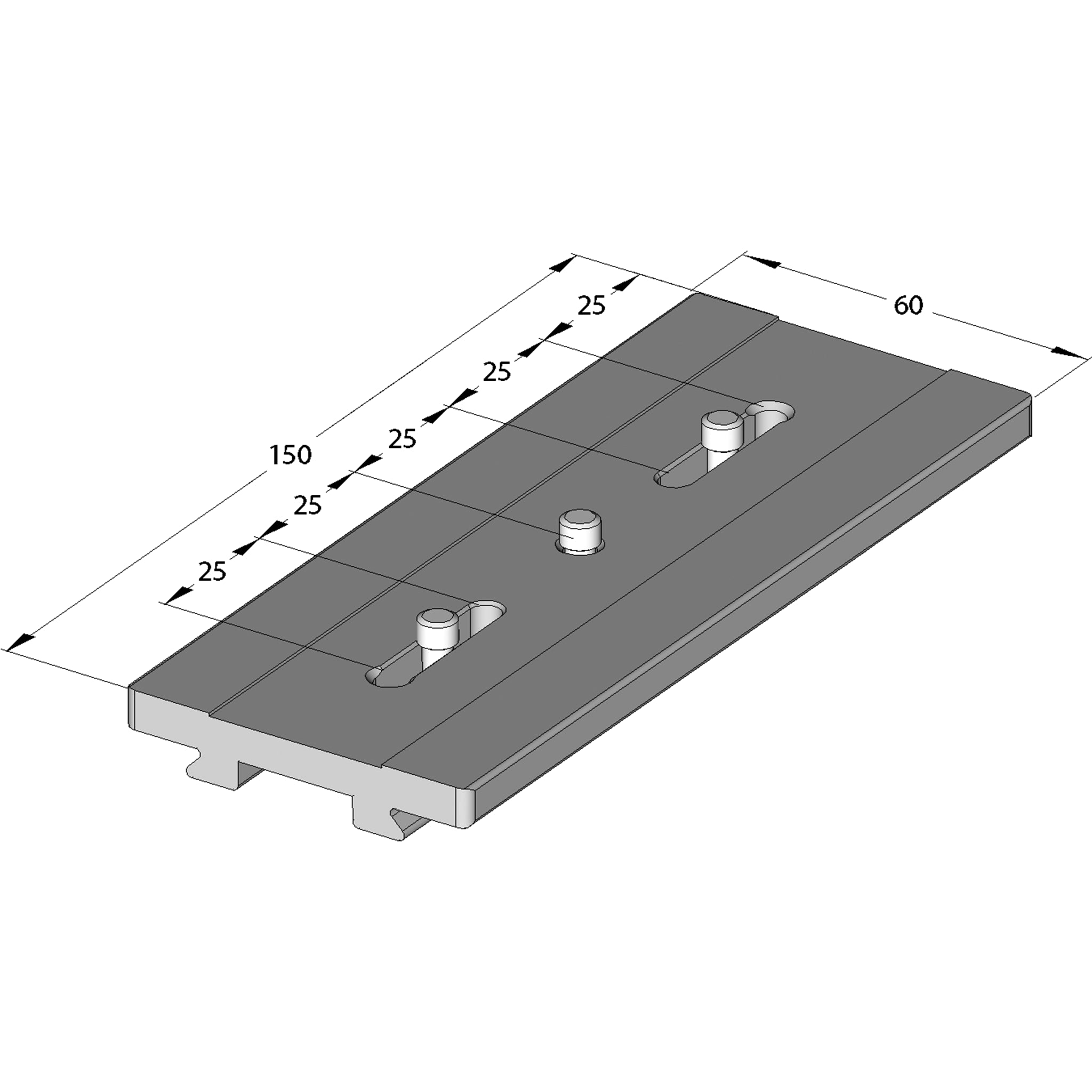 Arca-Swiss Quick Release Long Camera Plate 150mm with Two 1/4" Screws 802250